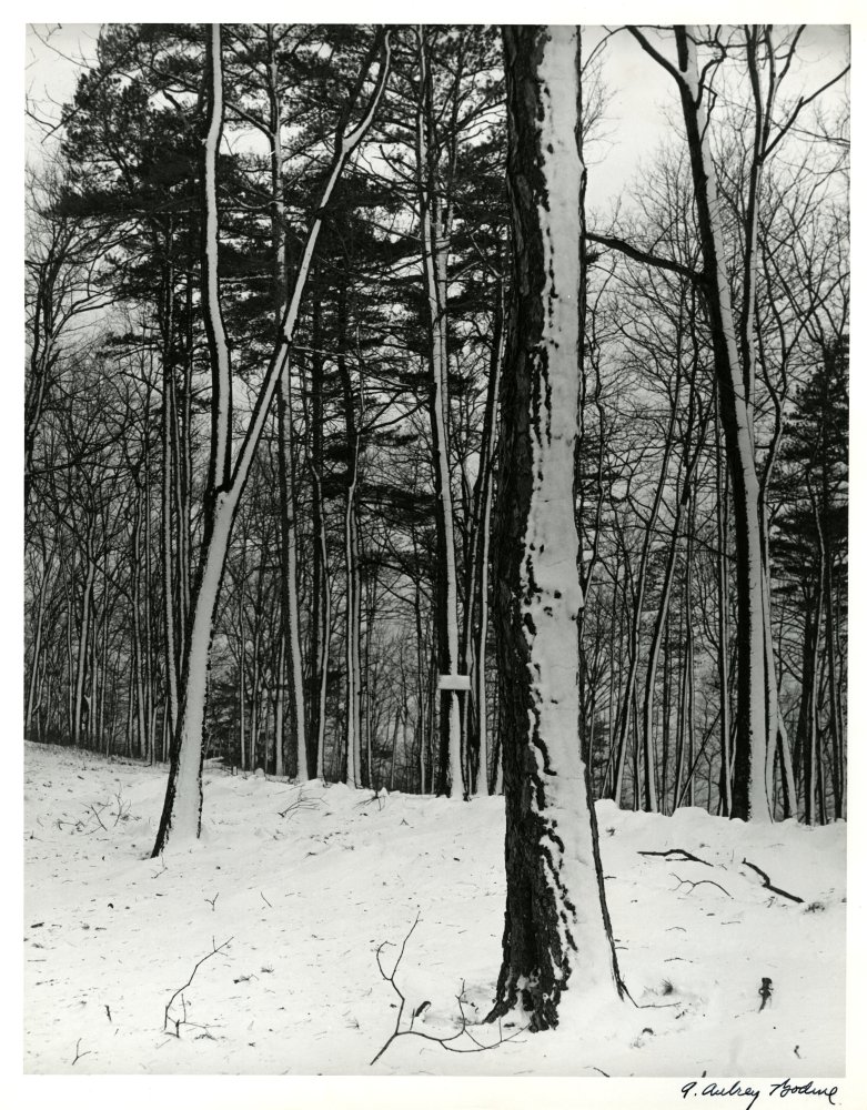 02-027 (click for large image)